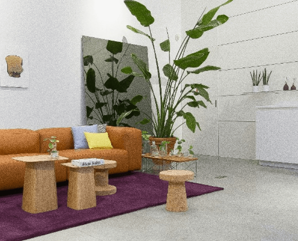 Best Tether No KYC Casinos 2026